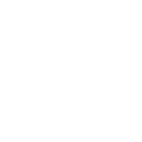 Dog paw